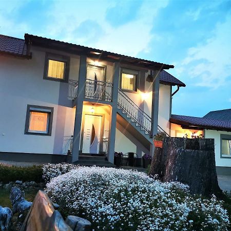 Guesthouse Samolov Vrhovine Esterno foto