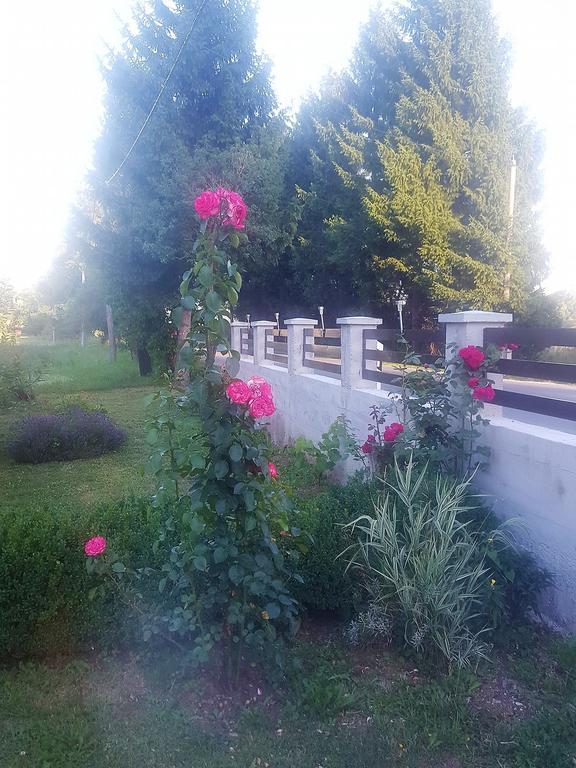 Guesthouse Samolov Vrhovine Esterno foto