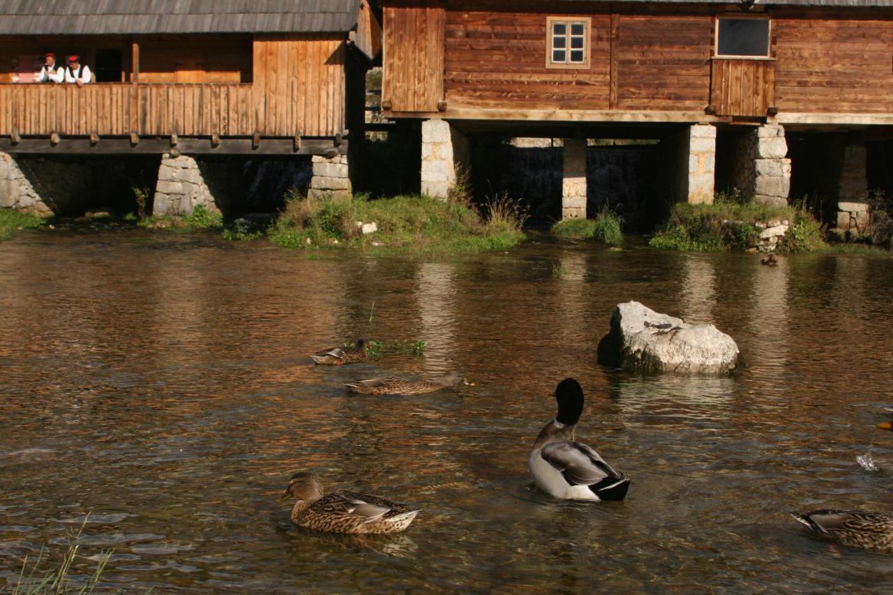 Guesthouse Samolov Vrhovine Esterno foto